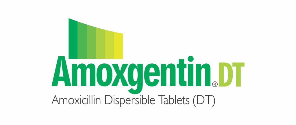 Amoxicillin Dispersible Tablets