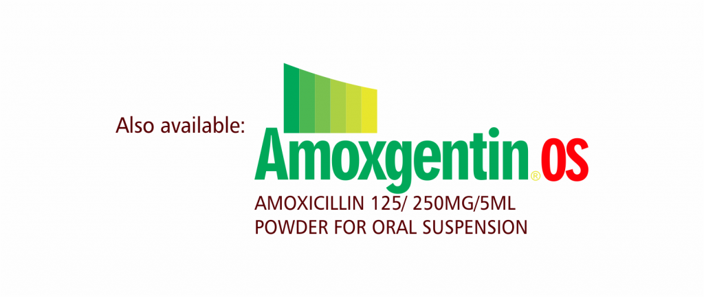 Amoxicillin Powder for Oral Suspension