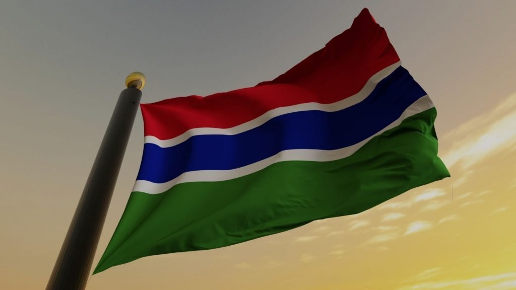 Pharmaceuticals Business Gambia Country Profile