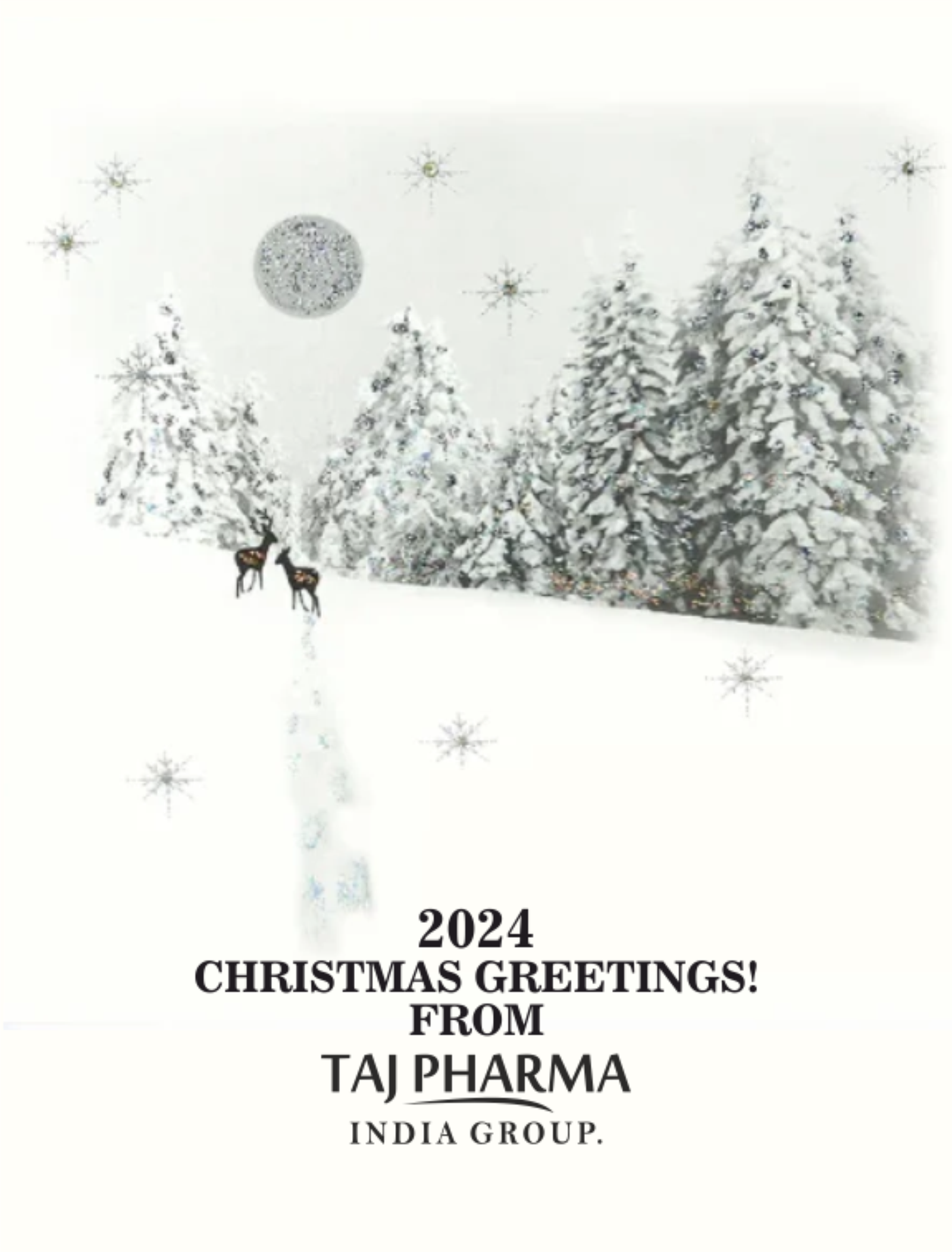Merry Christmas from Taj Pharma Group