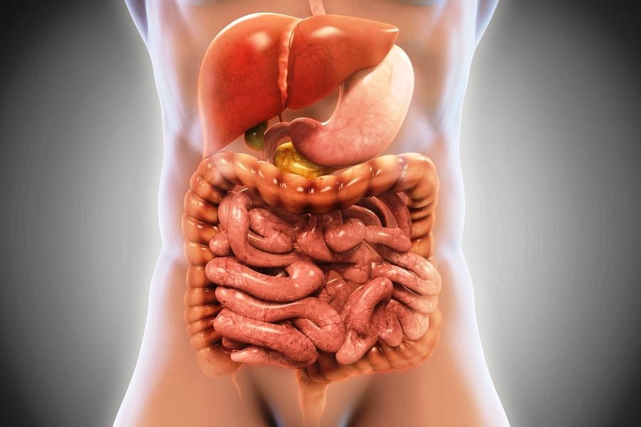 Six-month therapy for people with abdominal tuberculosis