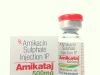 Amikacin Injection Amikataj 500mg 