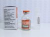 Ampicillin Sodium Powder for Injection 1000 mg