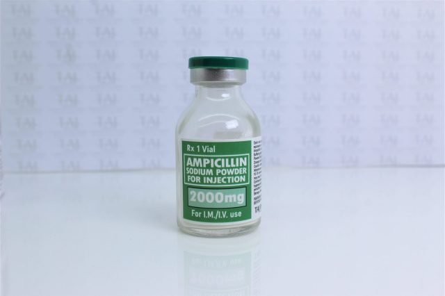 Ampicillin Sodium Powder for Injection 2000 mg