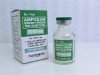 Ampicillin Sodium Powder for Injection 2000 mg