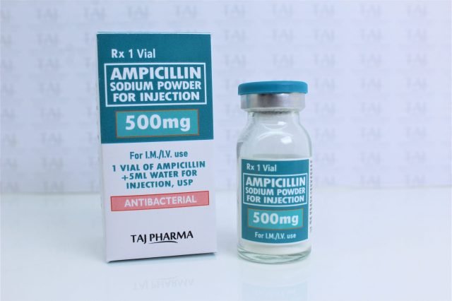 Ampicillin Sodium Powder for Injection 500 mg