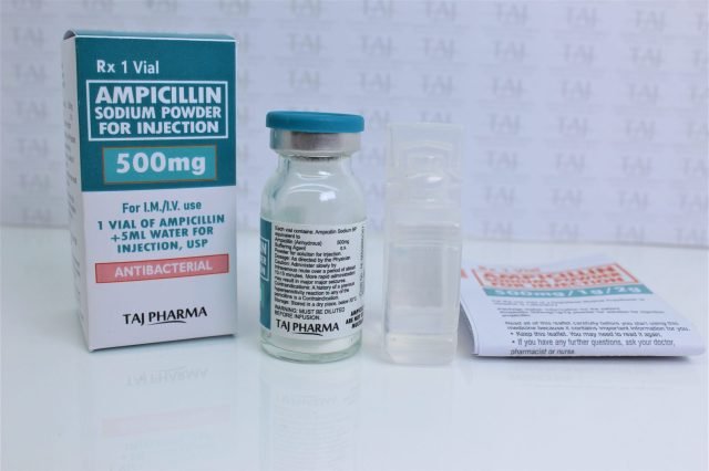 Ampicillin Sodium Powder for Injection 500 mg