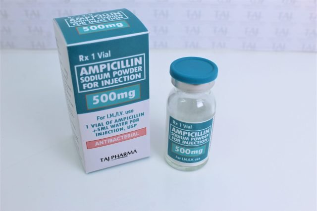 Ampicillin Sodium Powder for Injection 500 mg