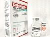 Ceftriaxone for Injection, USP + 1% Lidocaine Injection BP