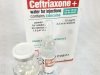 Ceftriaxone for Injection, USP + 1% Lidocaine Injection BP