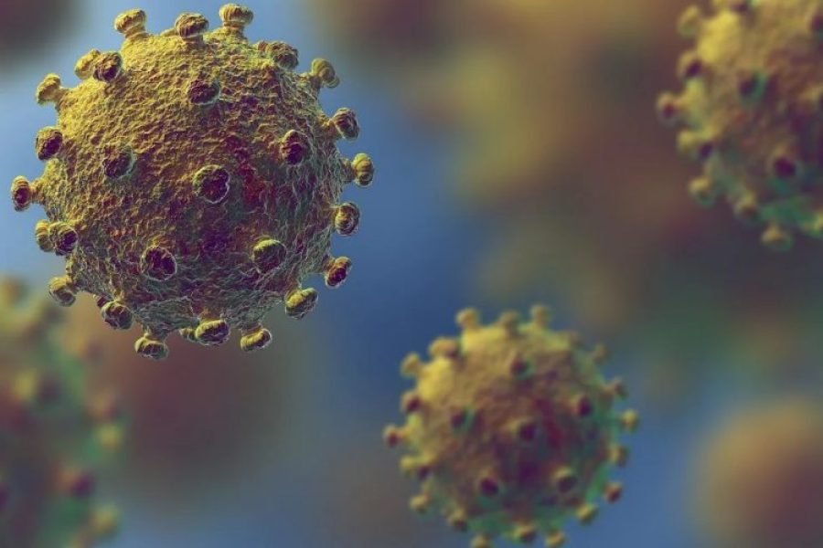Coronavirus: Everything you need to know