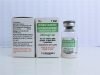 Dobutamine Hydrochloride Injection USP 250mg/vial