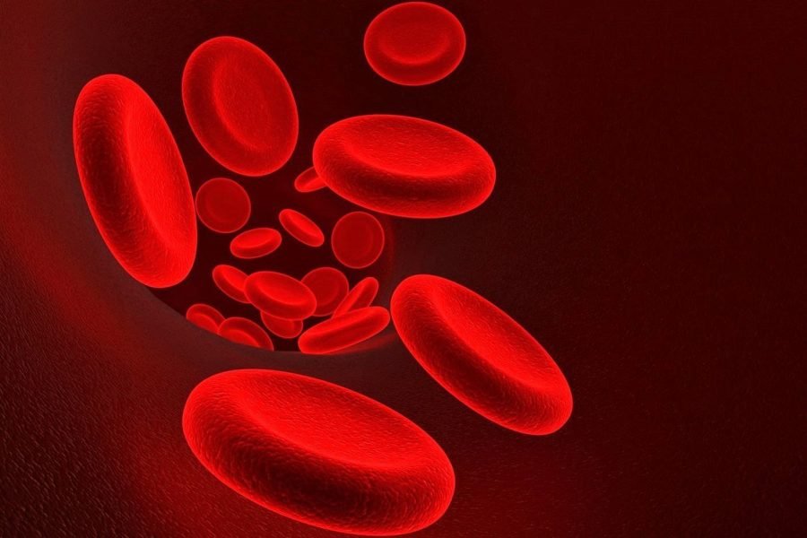FDA Approves First Generic of Popular Blood Thinner