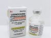 Lignocaine Hydrochloride & Adrenaline Bitartrate Injection
