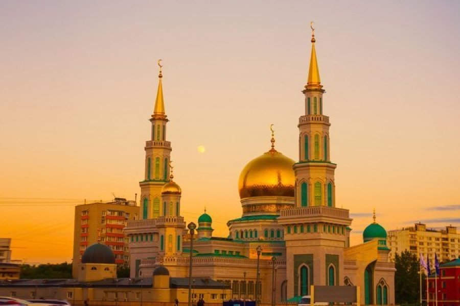 Taj Pharma healthcare mission in Russia and CIS countries by 2020