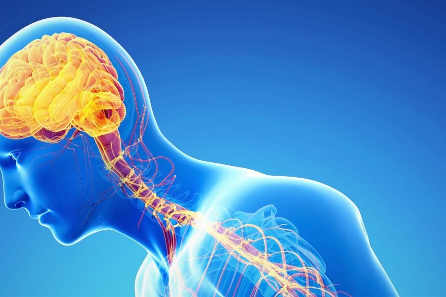 Wilson disease causes diagnosis and treatment