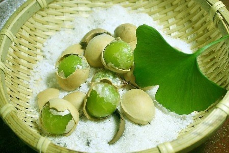 Ginkgo biloba | Thinking outside the box: The use of non-conventional treatments for MS