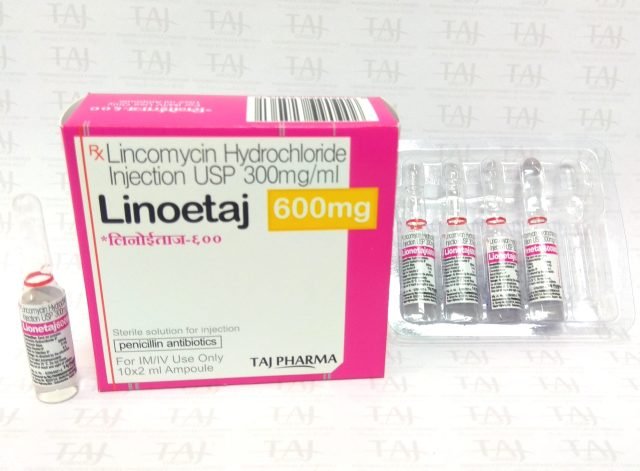 Lincomycin Hydrochloride Injection USP 300mg/mL (Linoetaj) 600mg